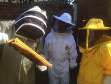 Bosco Bees Help Syrian Refugees